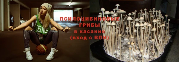 скорость Алзамай