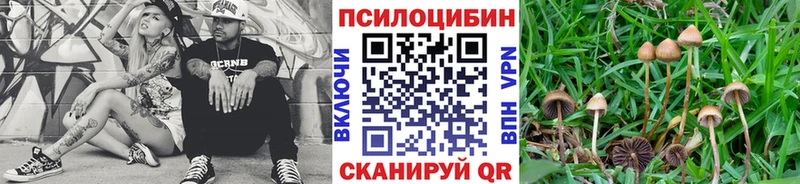 хочу наркоту  Бийск  mega ONION  Галлюциногенные грибы ЛСД 