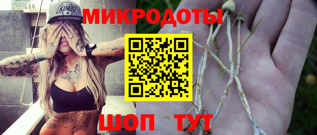 Бийск  Псилоцибиновые грибы мухоморы  Вход с VPN 